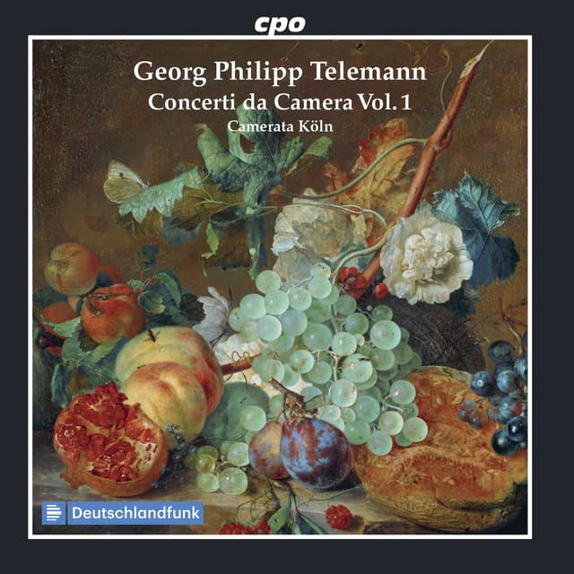 Telemann: Concerti da camera, Vol. 1
