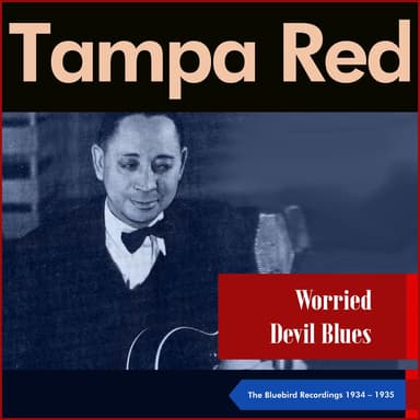 Worried Devil Blues (The Bluebird Recordings 1934 - 1935)