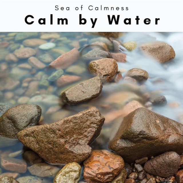 1 Calm by Water