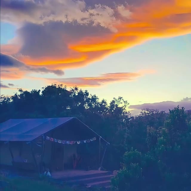 That night at the cabin