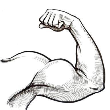 Just For You (Gym Music) (feat. Human Sound Recorder)