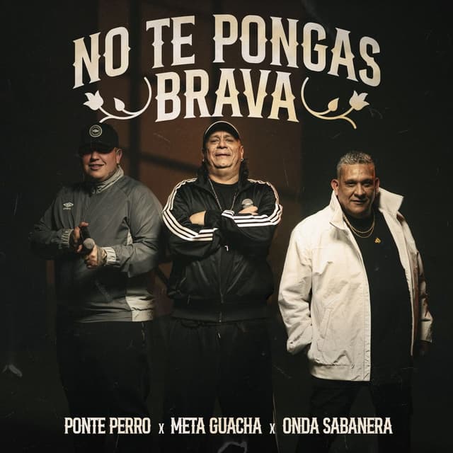 No Te Pongas Brava