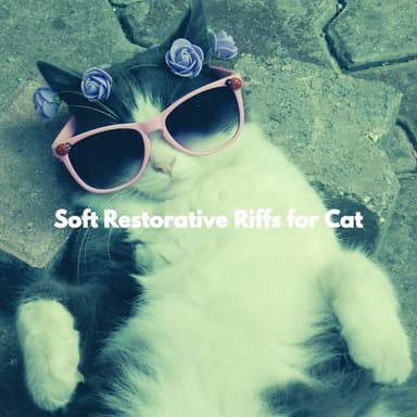 Soft Restorative Riffs for Cat