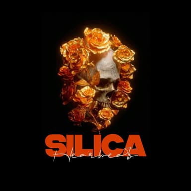 SILICA HEARTBEATS