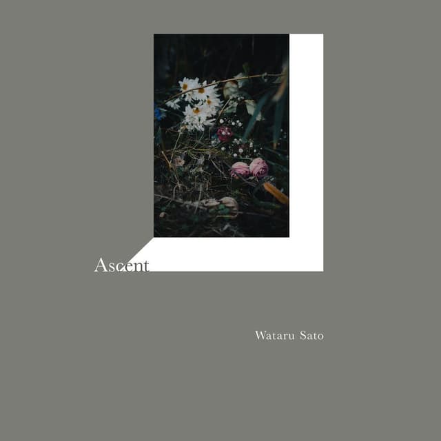 Ascent
