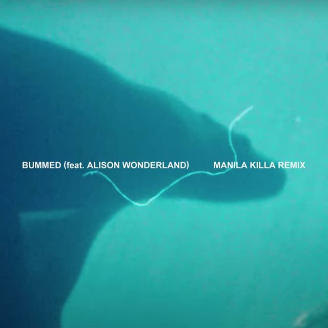 Bummed (feat. Alison Wonderland) (Manila Killa Remix)