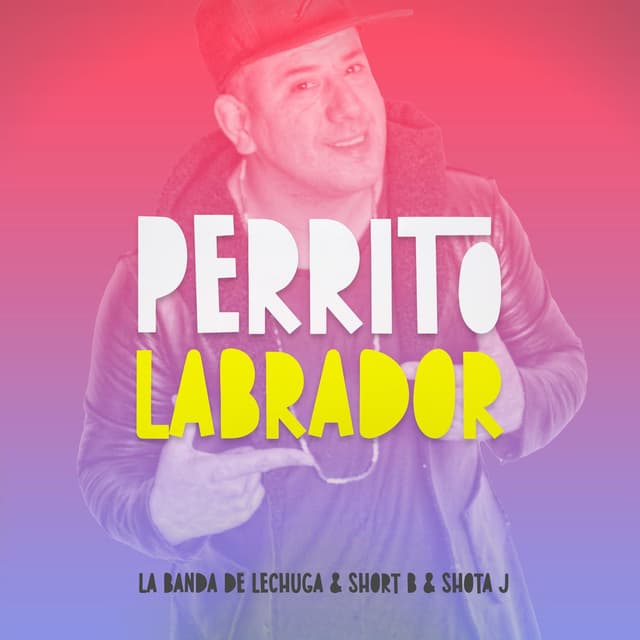 Perrito Labrador