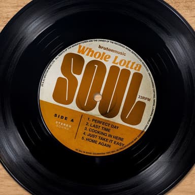 Whole Lotta Soul