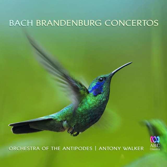 Bach: Brandenburg Concertos