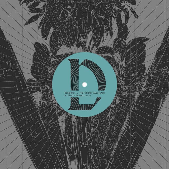 Deerhoof & The Sound Sanctuary