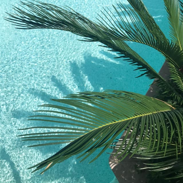 50 Wonderful Tracks for Meditation & Meditation