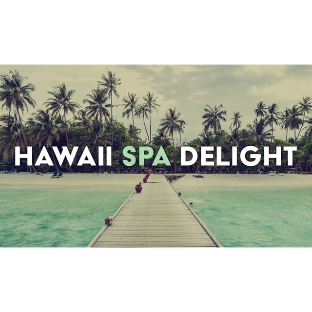 Hawaii Spa Delight: Lomi Lomi Massage, Mental Relaxation, Enhance the Body's Natural Healing Power