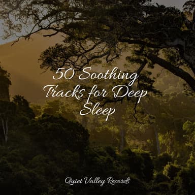 50 Soothing Tracks for Deep Sleep