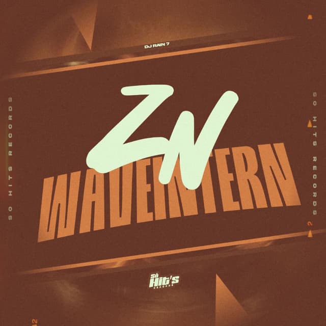 ZN Waveintern