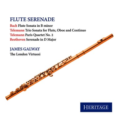 Flute Serenade