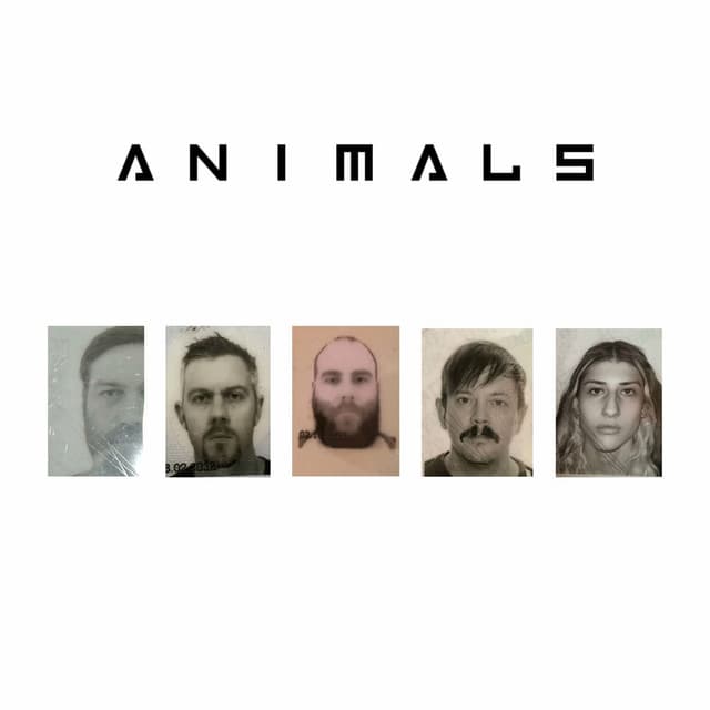 Animals