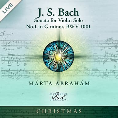 Violin Sonata No.1 in G Minor, BWV 1001: IV. Presto