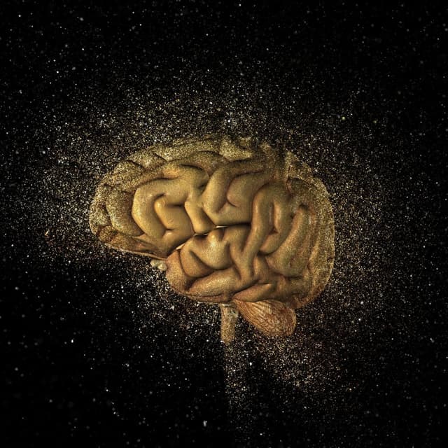 Activate Your Entire Brain