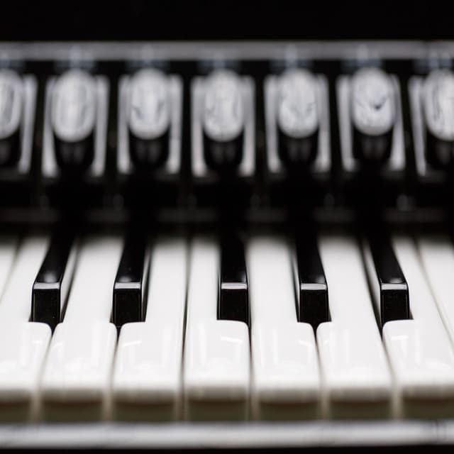 SOLO-INSTRUMENTAL