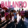 Follow The Leader - Sound-A-Like Cover originally by The Soca Boys