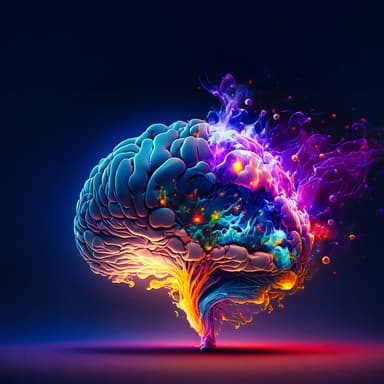 Harmonize Your CNS