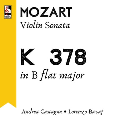 Violin Sonata in B-Flat Major, K.378: II. Andantino sostenuto e cantabile