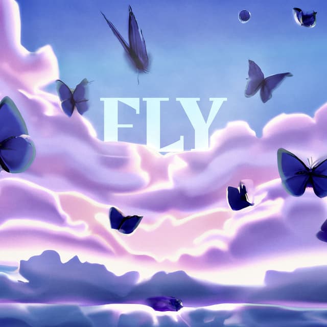 Fly