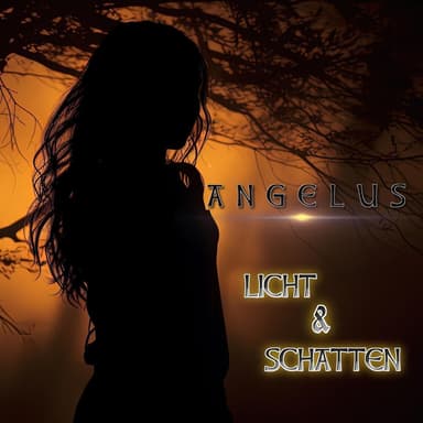 Licht & Schatten