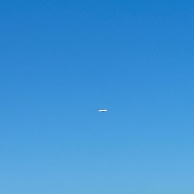 pilots