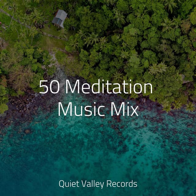 50 Meditation Music Mix