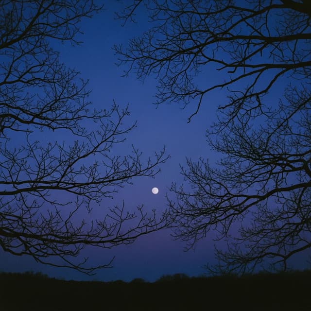to the moon