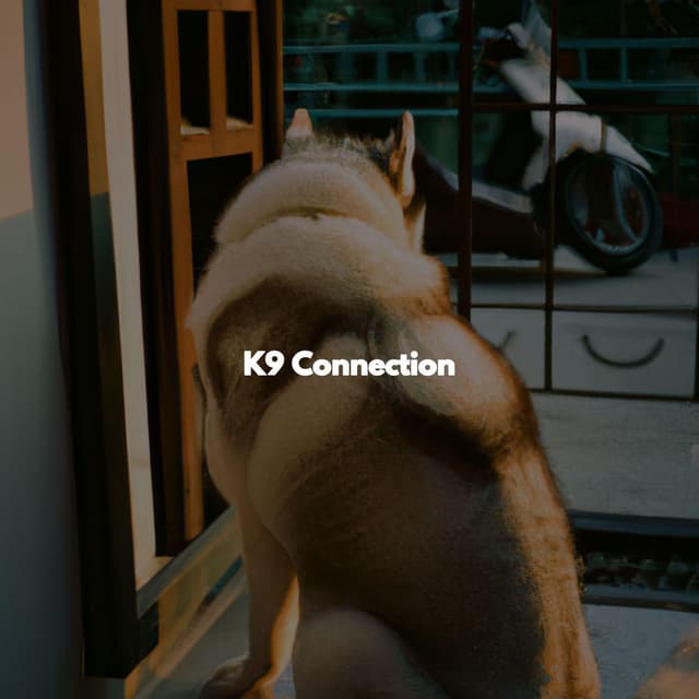 K9 Connection
