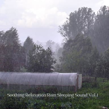 Soothing Relaxation Rain Sleeping Sound Vol. 1