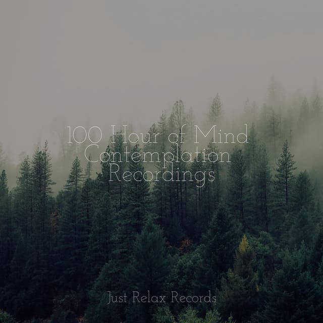 100 Hour of Mind Contemplation Recordings
