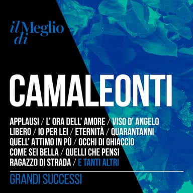 Il Meglio Di Camaleonti: Grandi Successi