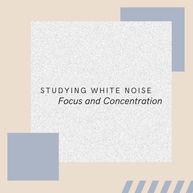 Studying White Noise: Focus and Concentration