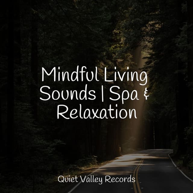 Mindful Living Sounds | Spa & Relaxation
