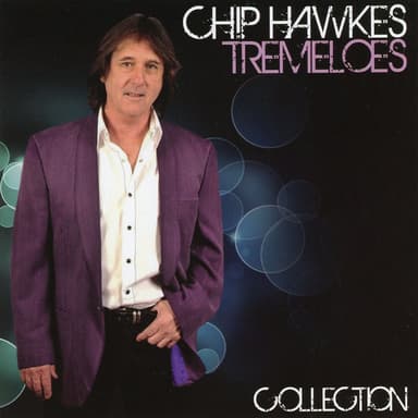 Tremeloes Collection