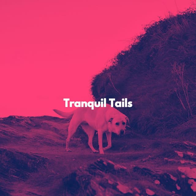 Tranquil Tails