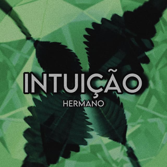 INTUIÇÃO