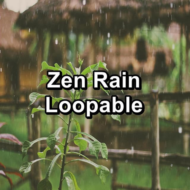 Zen Rain Loopable