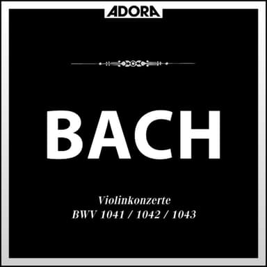 Konzert für 2 Violinen in D Minor, BWV 1043: I. Vivace
