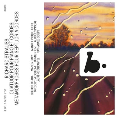 Metamorphosen, TrV 290 (Arr. for String Septet by Rudolf Leopold) (Live)