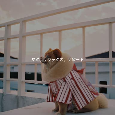 ワグ、リラックス、リピート