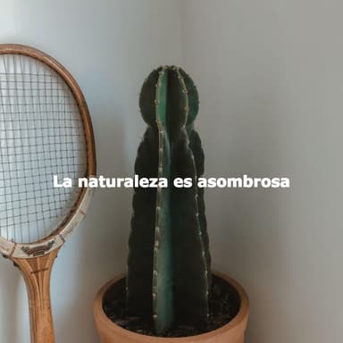 La naturaleza es asombrosa