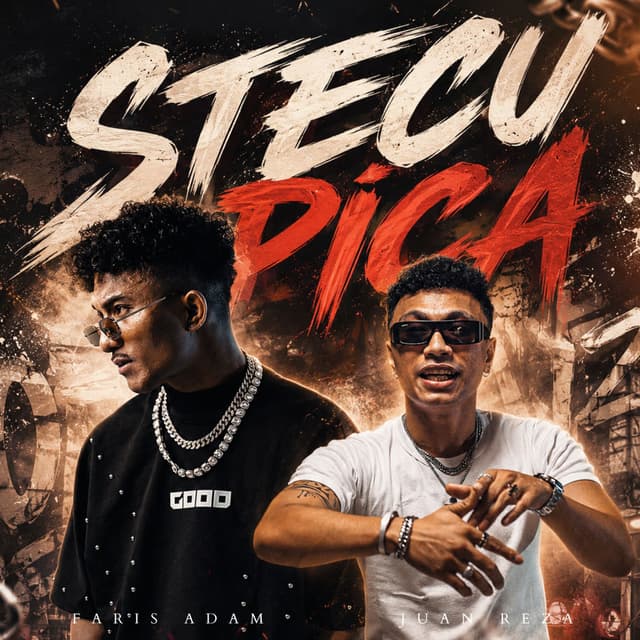 STECU PICA
