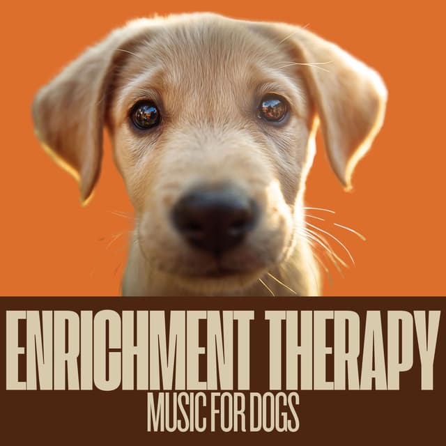 Enrichment Therapy Music for Dogs
