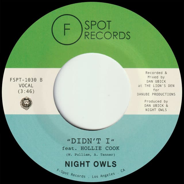Didn't I (feat. Hollie Cook)