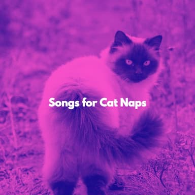 Songs for Cat Naps