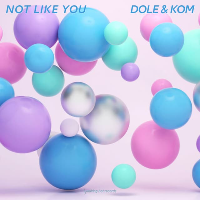 Not Like You (Radio-Edit)